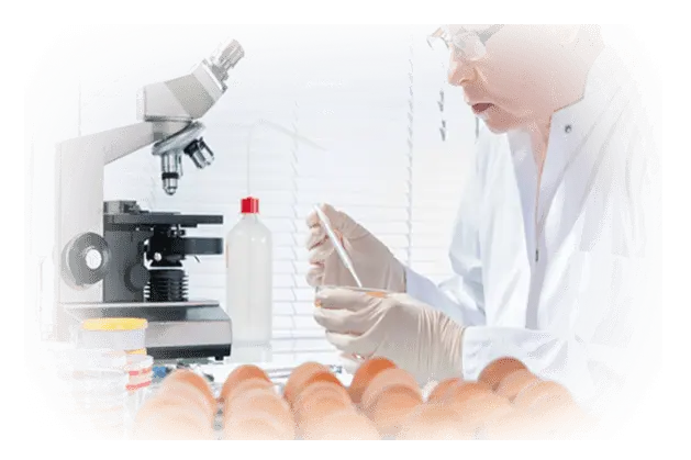 laboratory testing-services